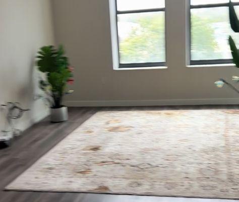 12th Century Oriental Rug, [2] 5’ Plastic Plants left behind and completely disregarded by “Two Men And A Truck” during our “alleged move.”