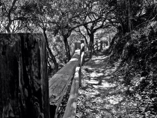 Angel Island State Park