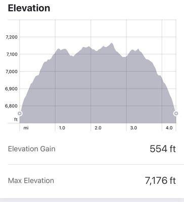 Elevation profile for the out and back.