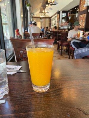 Fresh Squeezed Orange Juice