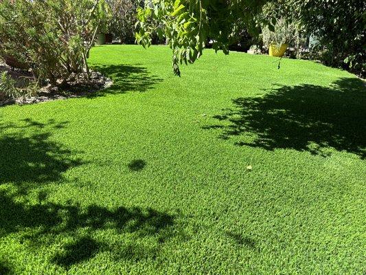 Lush, artificial grass.