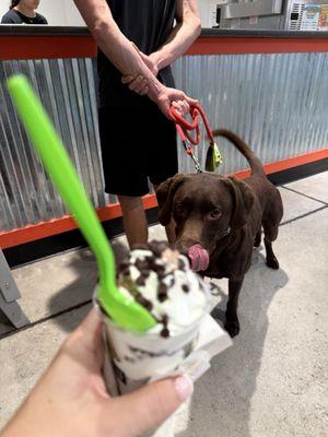 Best pup cups around!!