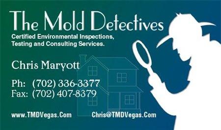 The Mold Detectives