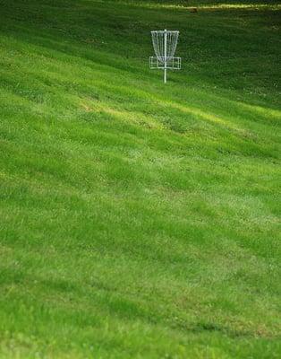 Frisbee golf in our large common areas.