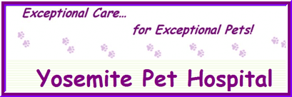 Yosemite Pet Hospital logo