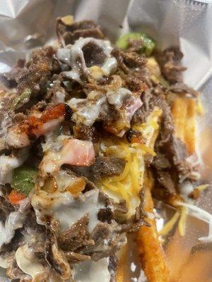 steak/cheese fries