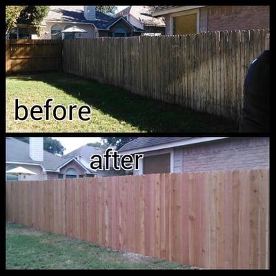 Privacy Cedar fence we really enjoyed doing.