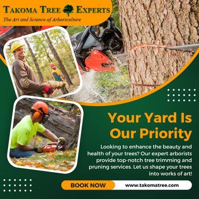 Your local tree champions! MD-VA-DC's choice for tree/stump removal, trimming, landscaping & more. A+ BBB, Yelp, Google