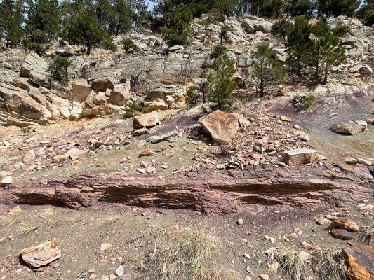 Such colorful rocks!