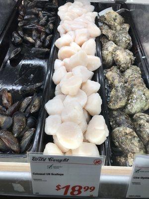 Colossal sea scallops