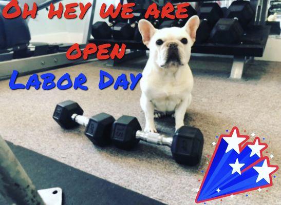 Open on Labor Day! 9am to 4pm today! Let us help you stay fit in paradise!