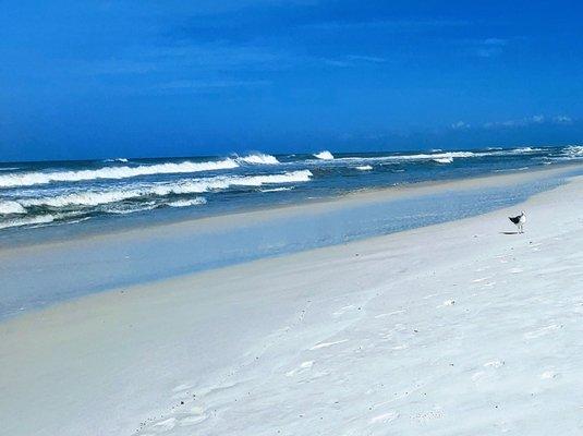 Beaches at T H Stone Memorial Park.