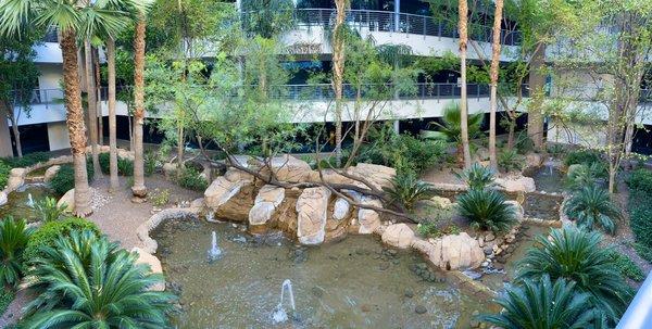 © Agave Counseling Services                         Your view of the atrium on your way to your counseling sessions.