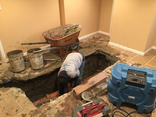 Basement Sewer Repair-Covered By Homeowners Insurance.