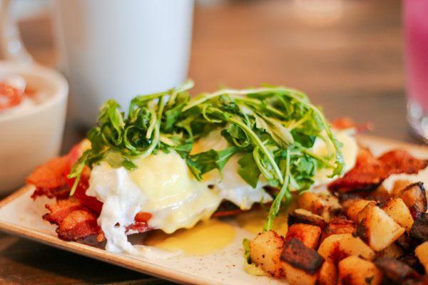 BLT Benedict