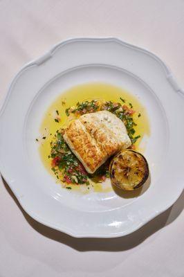 Halibut