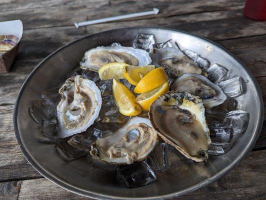 Raw oysters