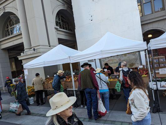 Ferry farmers market, 11/4/23