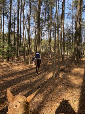 Trail starts in the woods