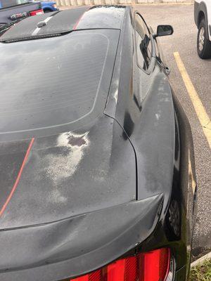 The paint fading and wearing through on the trunk, quarter panel and piece next to the rear window.