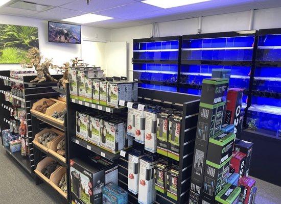 Aquarium Supplies Live Plants & Fish