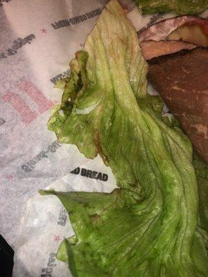 Old nasty lettuce 2nd time