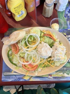 Yummy Chicken salad lunch special plate