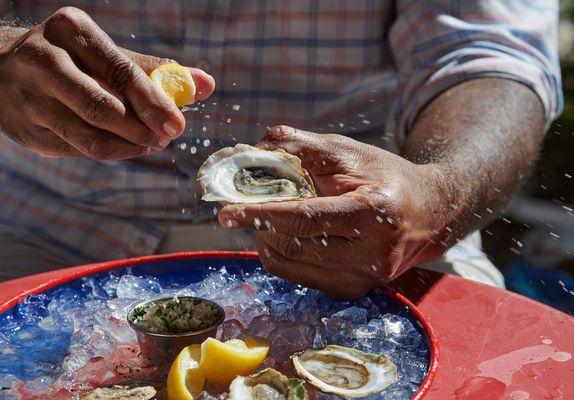 Oysters