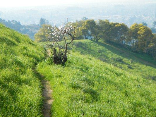 Spring in the open space