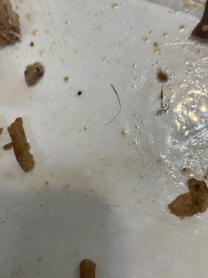 two hairs that were found in my food.