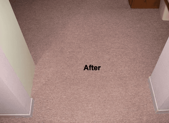 Commercial carpet in Sacramento after cleaning