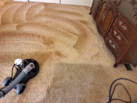 Total rotary extraction from The Carpet Butler is amazing. Look at how clean those carpets are!