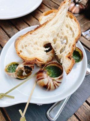 Escargots au Beurre d'Ail Anis