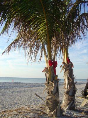 Sanibel Beach Club