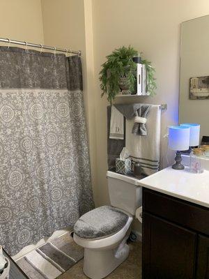 Guest bathroom