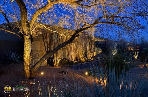 Landscape Lighting Pro