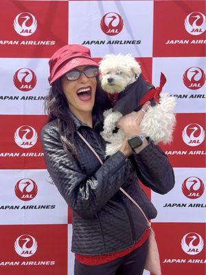 Japan airlines step and repeat at Japan festival Boston