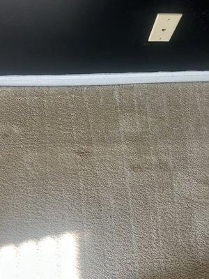 Stains that weren't removed