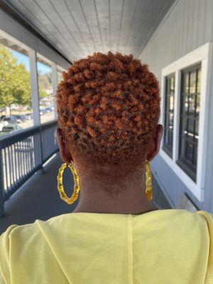 Be Kekoa Curly Cut with All Over Color