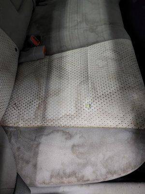 Our extraction/shampoo service can address stains.