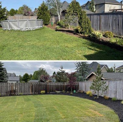 Here we installed a new lawn, and added some new plants after removing the old outdated landscape.