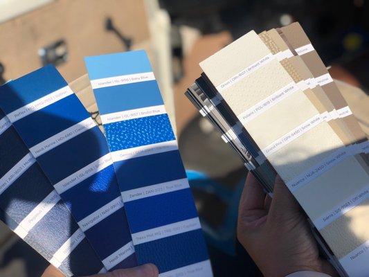 Swatches to pick our interior colors