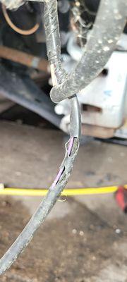 Rat wire damaged