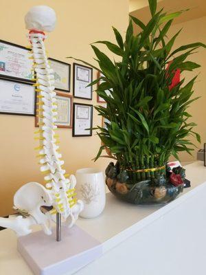 Mayfair Massage Acupuncture Spa