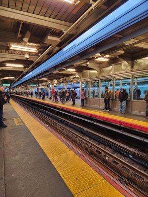 Newly Added Grand Central Lines add more people to Jamaica transfer point, especially during rush hour.