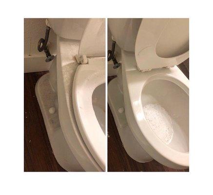 Before and after toilet cleaning