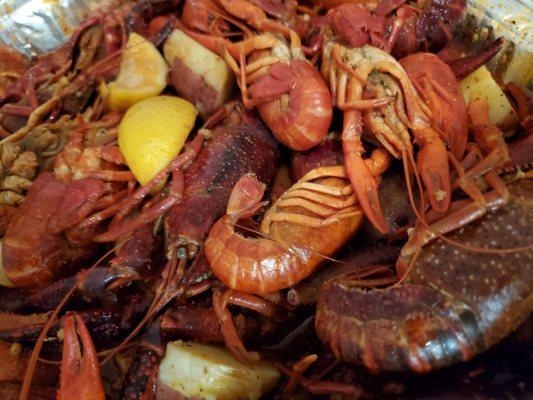 Close up of the delicious tiny lobsters (HUGE and regular crawfish).