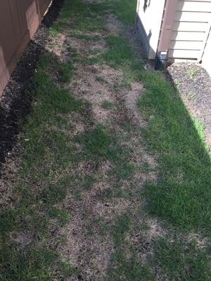 Lawn Groundsmaster installed and maintains