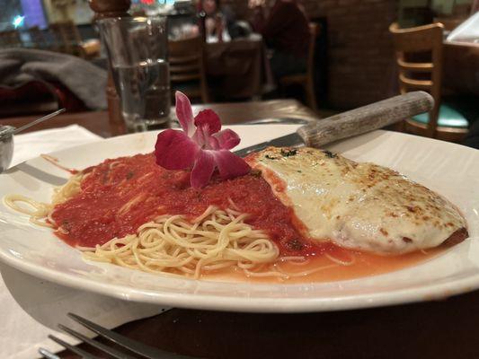 Chicke Chicken Parmigiana