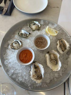 oysters